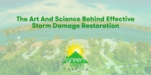 The Art and Science Behind Effective Storm Damage Restoration